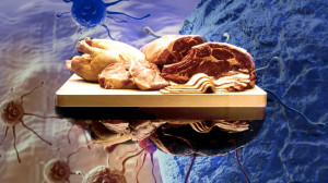 carne e tumori